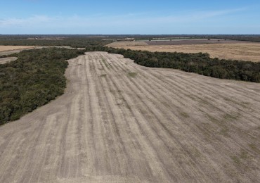 Campo Mixto de 300has con mejoras!!