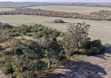 Se venden 142 hectareas en Parana 