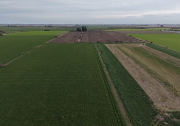 SE VENDEN 40HAS AGRICOLAS EN CRESPO!!!