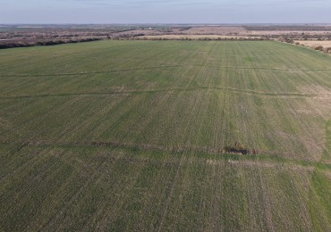 Se vende campo en Nogoya!!