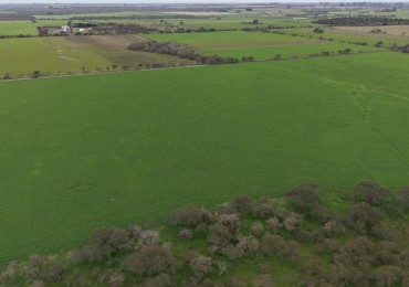 Venta de Campo Mixto- Excelente oportunidad