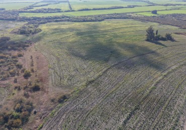 Se vende campo Agricola de 98has!!! 