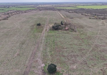 Se vende campo mixto 79has
