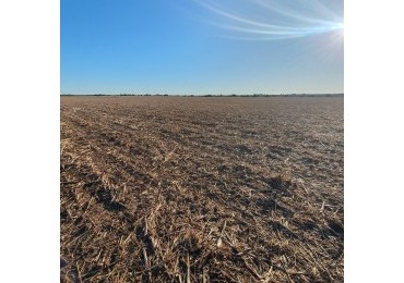 SE VENDE 34HAS AGRICOLA - NOGOYA, ENTRE RIOS