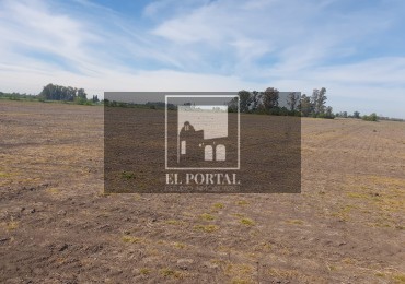 SE VENDE 112HAS DEPARTAMENTO URUGUAY